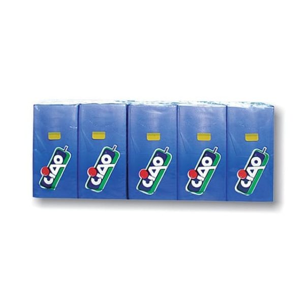 Χαρτομάντηλα Τσέπης 10 τμχ